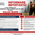 INFORMARE – PREZENȚĂ URS ÎN ZONA VALEA MARE